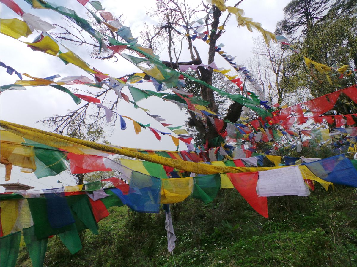 Dochula Pass20